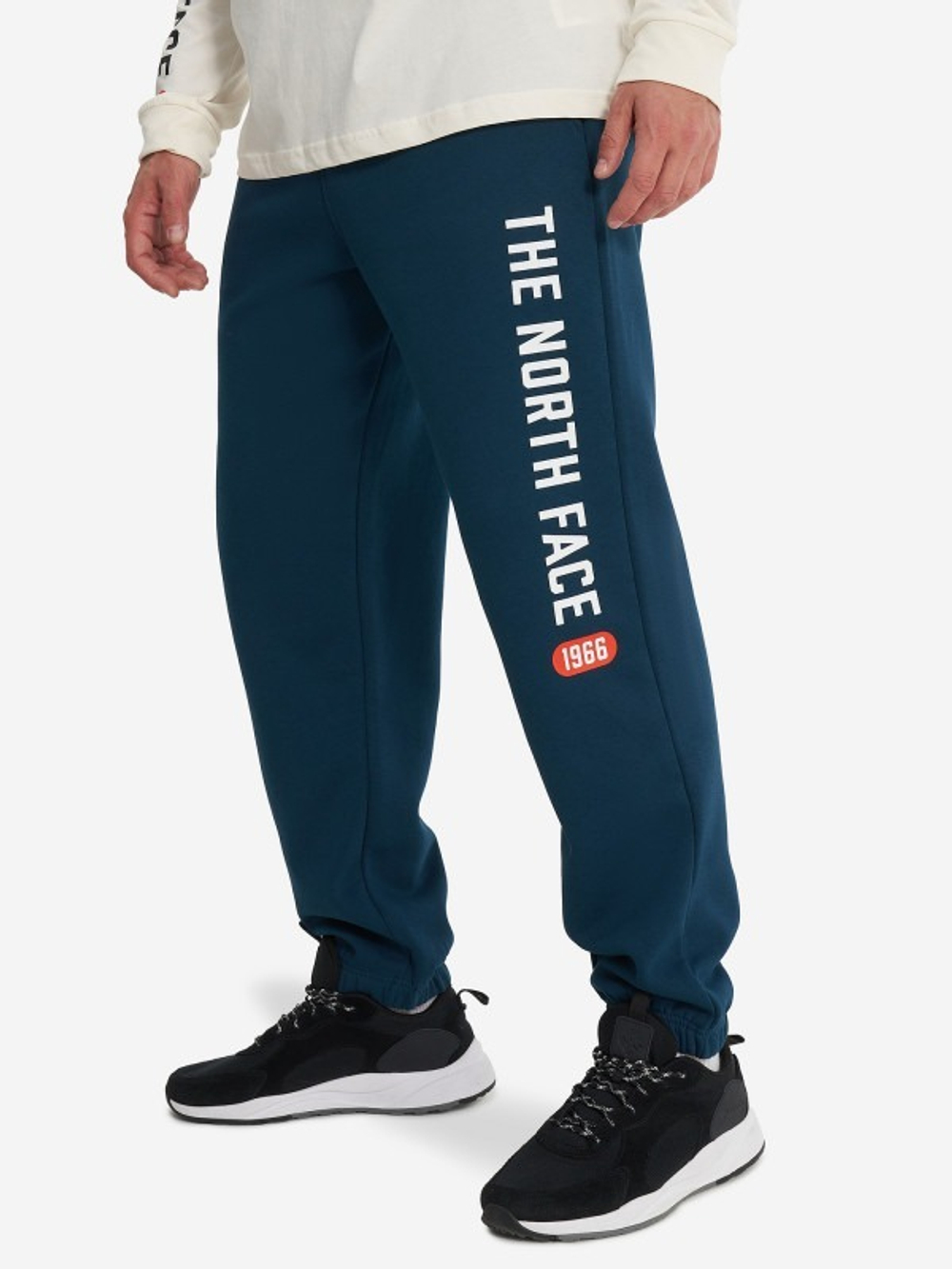 Брюки спортивные мужские THE NORTH FACE M PANT VARSITY GRAPHIC