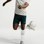 Футбольные носки до колена (1 пара) Nike VaporFast IZ2685 - Nike