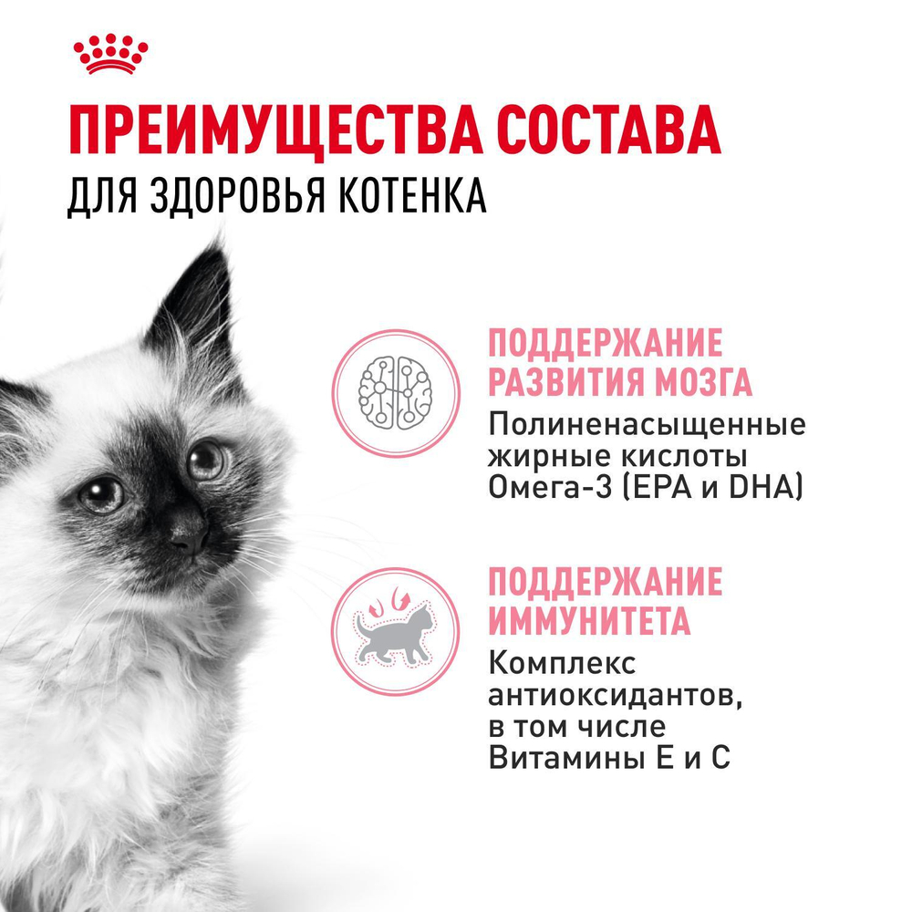 Royal Canin Kitten Киттен Корм влажный для котят в период третьей фазы роста в возрасте до 12 месяцев желе 85г