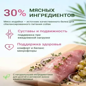 Сухой корм Fealdon для взрослых собак средних и крупных пород с индейкой