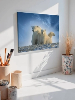 Картина на стену 40 X 50 Белые медведи
