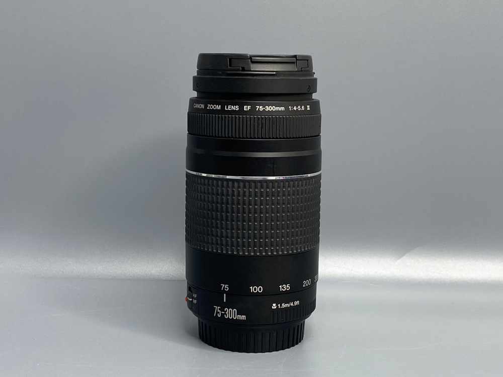 Canon EF 75-300mm f/4-5.6 III