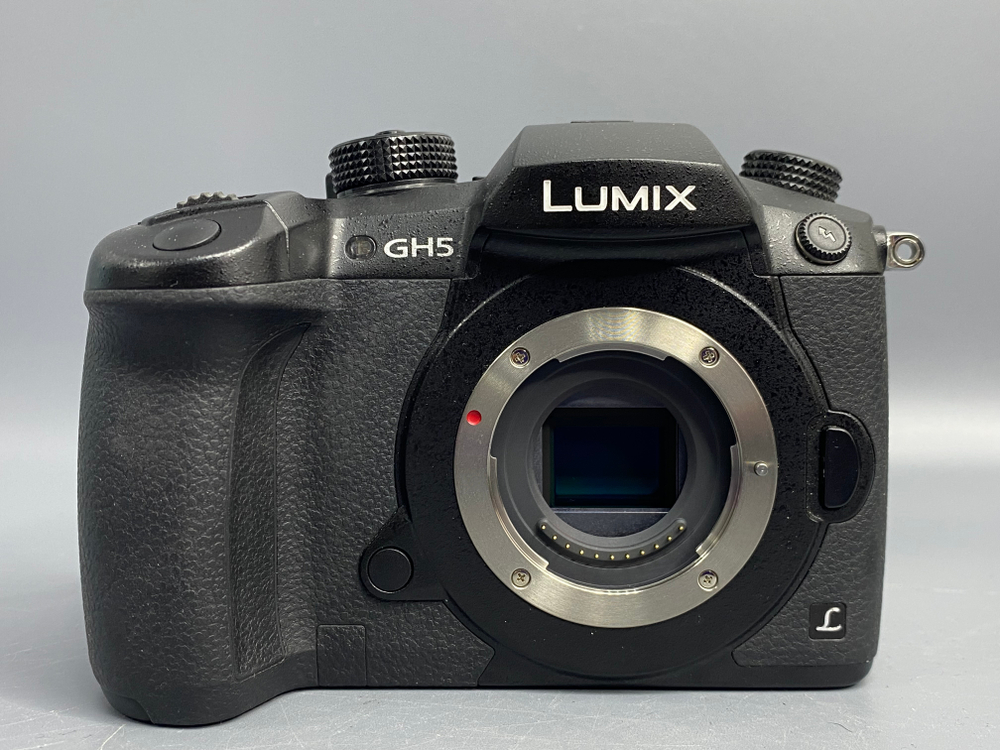 Panasonic Lumix GH5 2500 Кадров