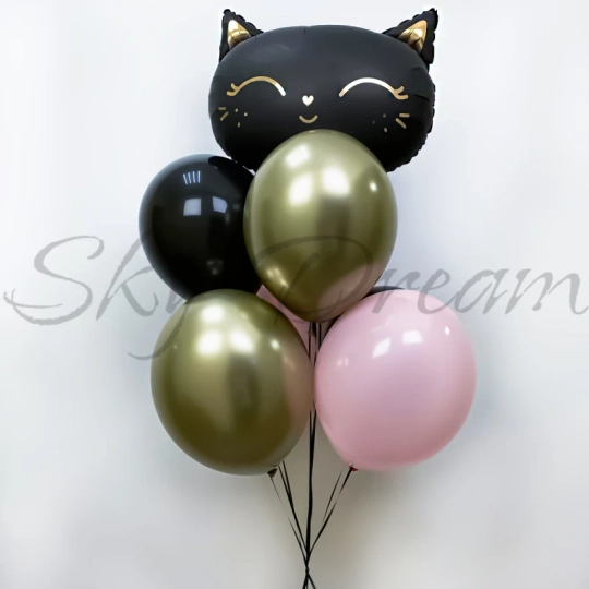 Сет Одинокий чёрный кот