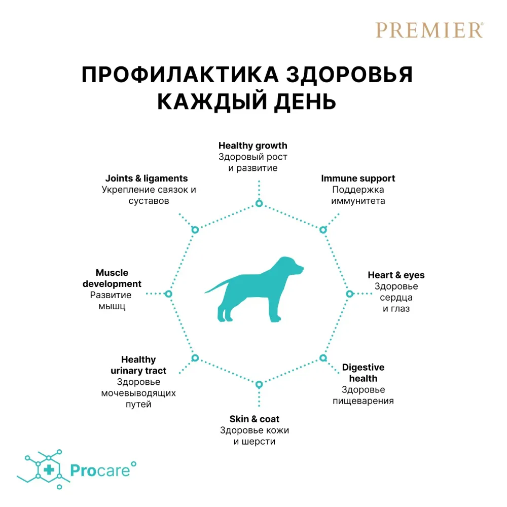 Сухой корм Premier Dog Turkey Junior Medium&Maxi для юниоров средних и крупных пород из свежего мяса индейки