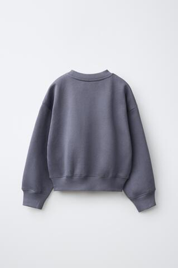 ZARA ТОЛСТОВКА С ПРИНТОМ В СТИЛЕ ПРЕППИ, ЛИНЯЛЫЙ СИНИЙ