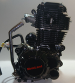 Двигатель 175-FMM 300см3 (без балансировочного вала) мотоцикл XR300 LITE
