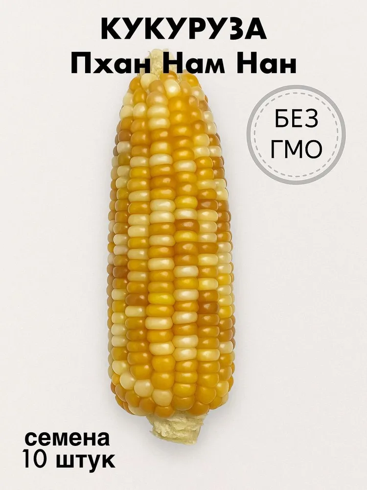 Кукуруза клейкая Пхан Нам Нан семена 10 штук