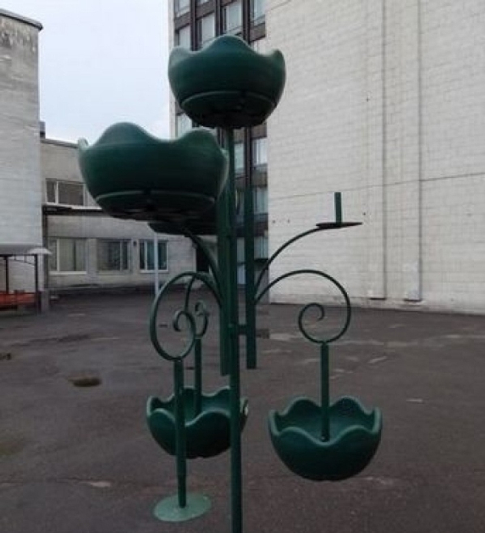 Цветочница Улитка двойная парковая