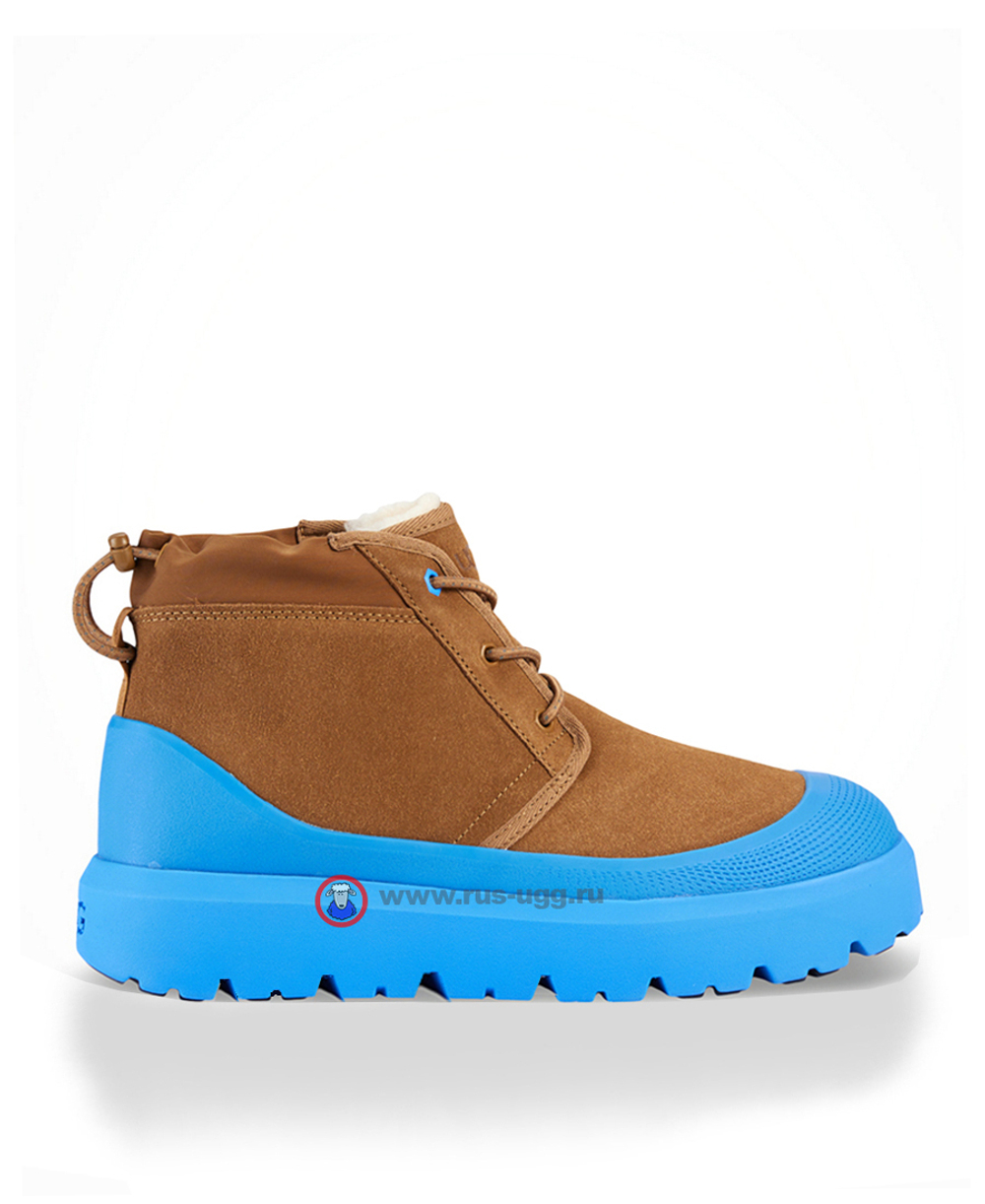 NEUMEL WEATHER HYBRID Chestnut/Navy