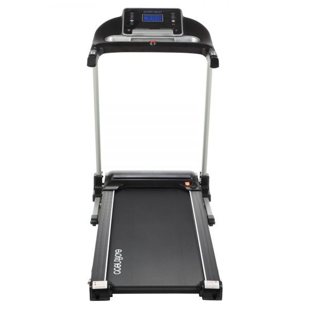 Evo fitness stels