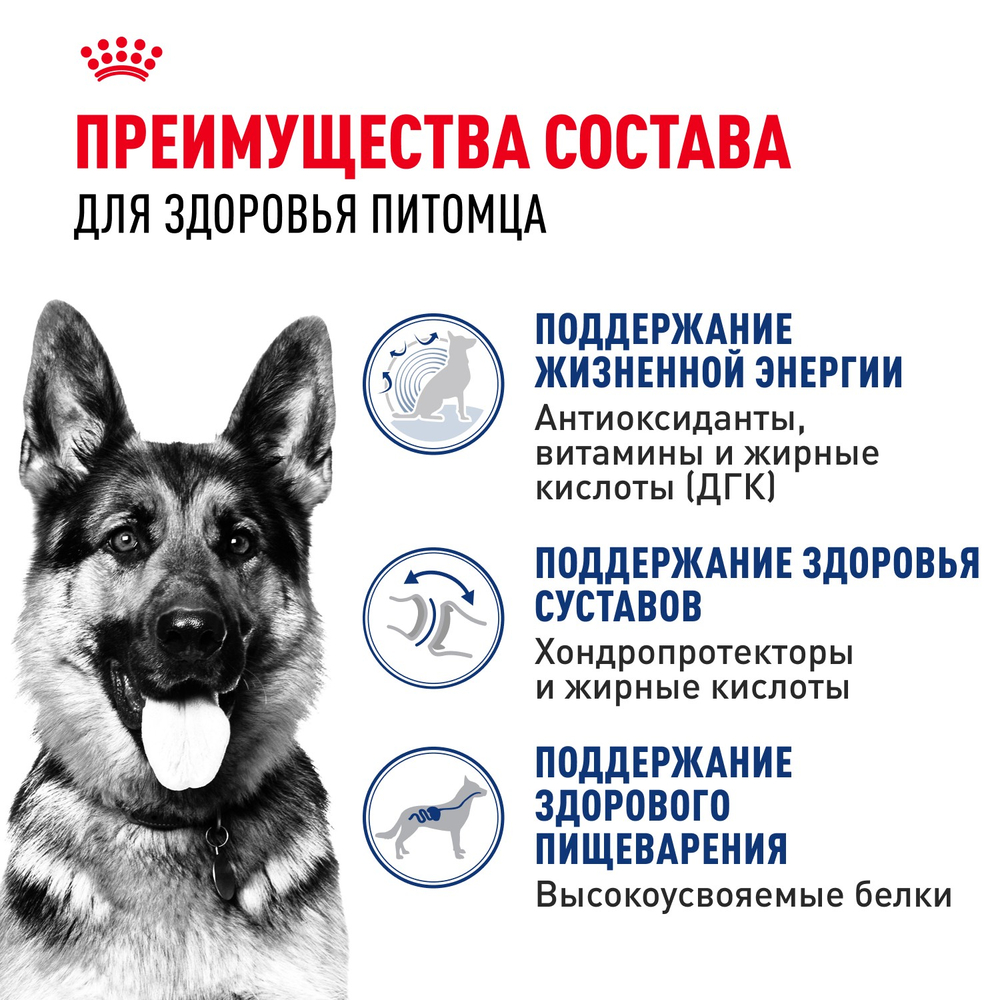 Royal Canin Maxi Ageing 8+ Макси Эйджинг Корм сухой для стареющих собак крупных пород старше 8 лет 3кг