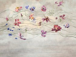 Коллекция FLOREALE 24