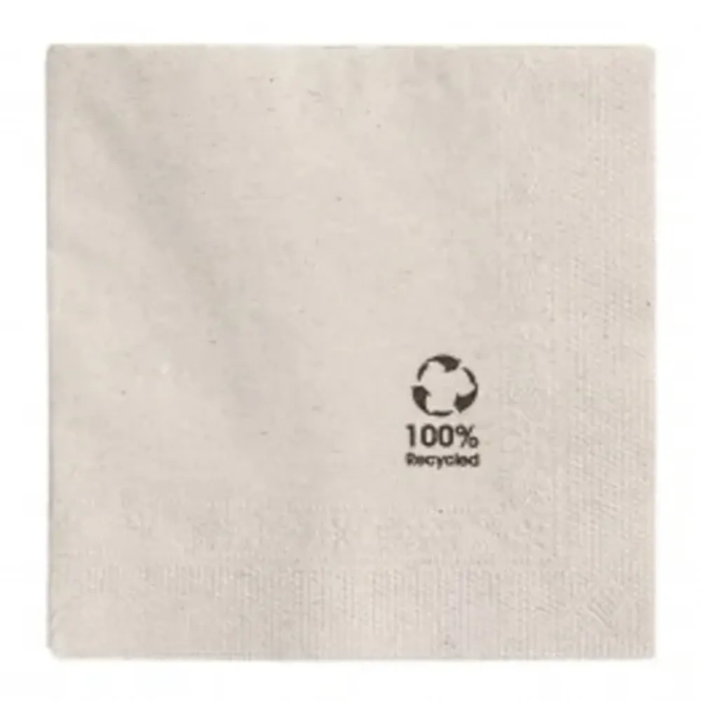 Салфетка бумажная ECO двухслойная, 20*20 см, 100 шт, Garcia de PouИспания