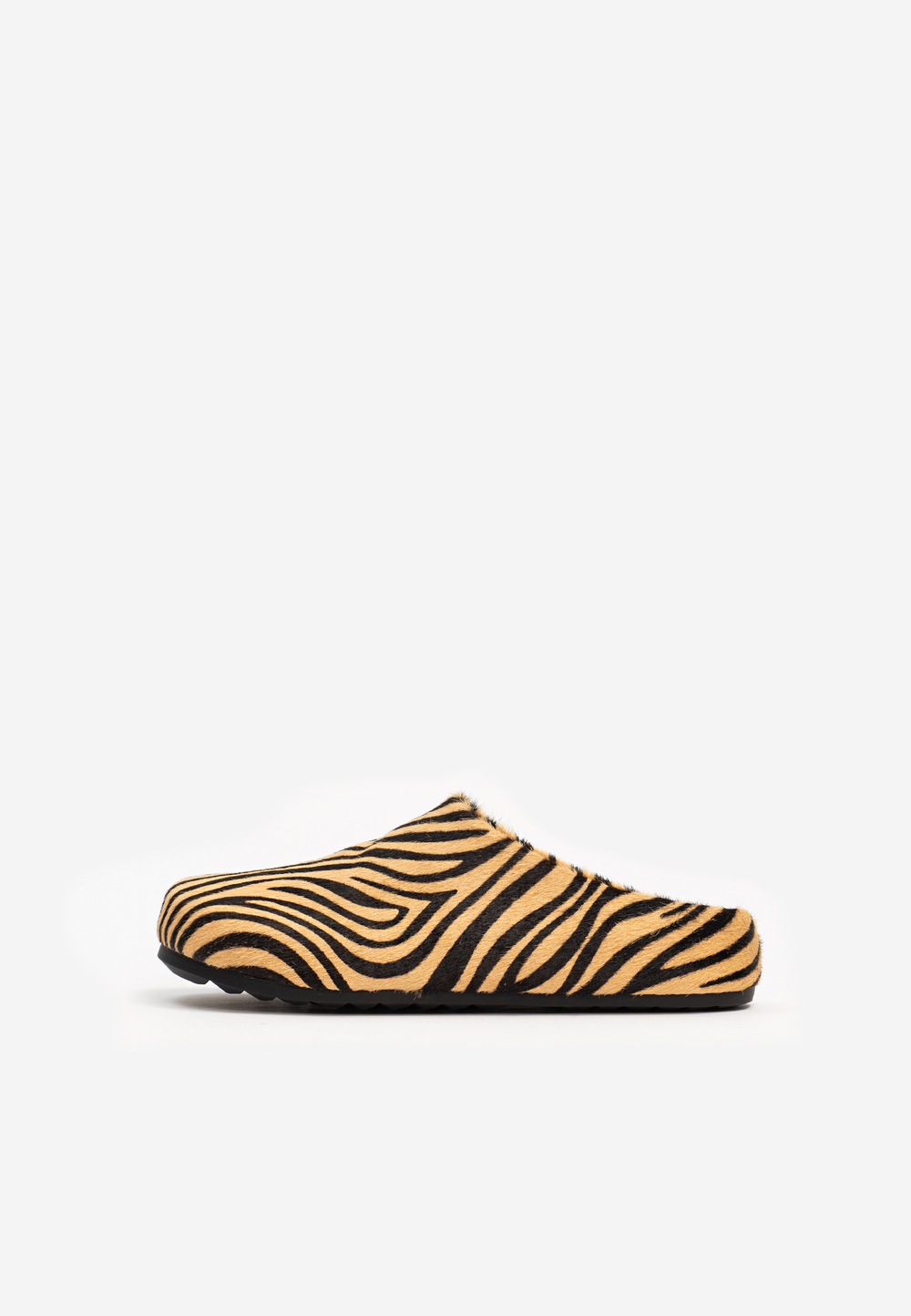 mule pony zebra latte