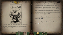 Trial of Champions (Fighting Fantasy Classics) (для ПК, цифровой код доступа)