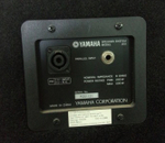 Yamaha A10