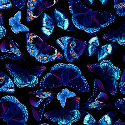Загадочные бабочки. Mystic Butterfly.