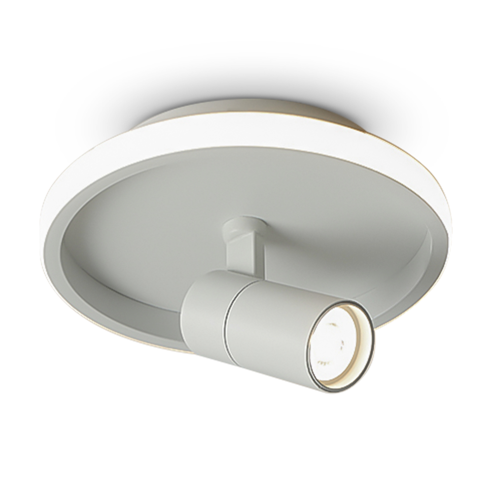 Потолочный светильник Freya FR6040CL-L14W