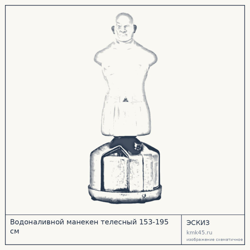Водоналивной манекен телесный 153-195 см — от 31 000 ₽