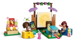 Конструктор LEGO Friends 42642 Вечер дружеских фильмов