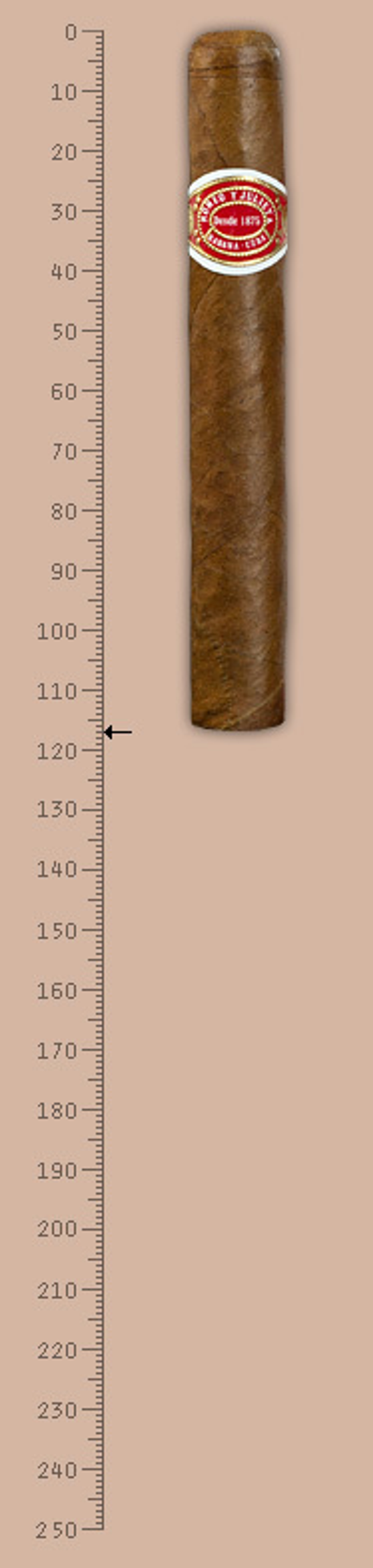 Romeo y Julieta Romeo No3
