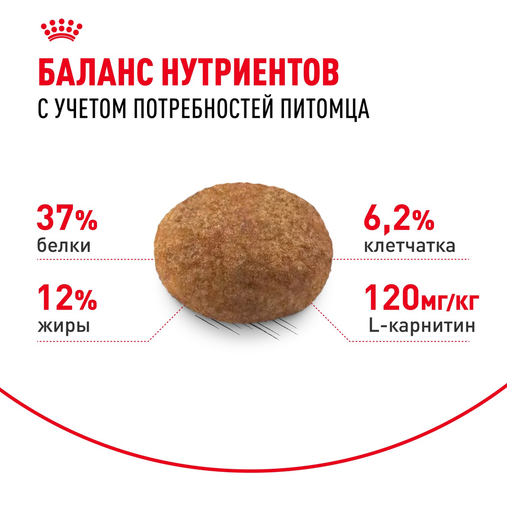 Royal Canin Sterilised 37 Стерилайзд Корм сухой для взрослых стерилизованных кошек в возрасте от 1 года до 7 лет 10кг