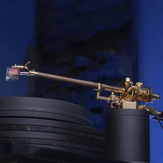 Auris Bayadere 5 Black Hawk 24k Gold Tonearm Black/Gold