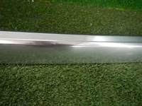 DSCN6838.jpg
