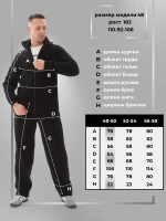 Спортивный костюм мужской с начесом флис