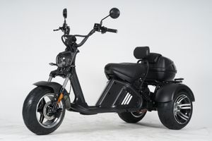 Трехколесный электроскутер Mangosteen M2P (60V 30А/40A 2000W) (ПОД ЗАКАЗ)