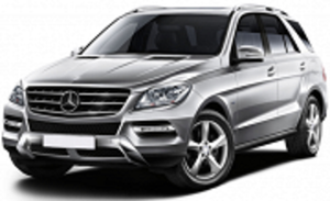 W166 (11- )