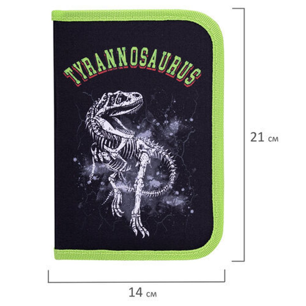 Пенал BRAUBERG, 1 отделение, полиэстер, 21х14 см, "Tyrannosaurus", 271531