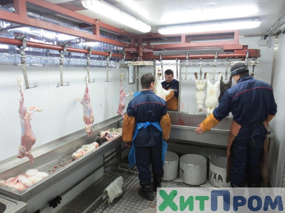 Комплекс убоя и переработки кроликов до 150 голов/час. Детское питание. Тульская область.
