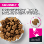 Сухой корм Eukanuba для взрослых собак крупных и очень крупных пород старше 1 года с ягненком 12 кг