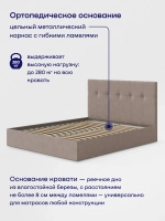 Кровать БайДрим (велюр, с ПМ)