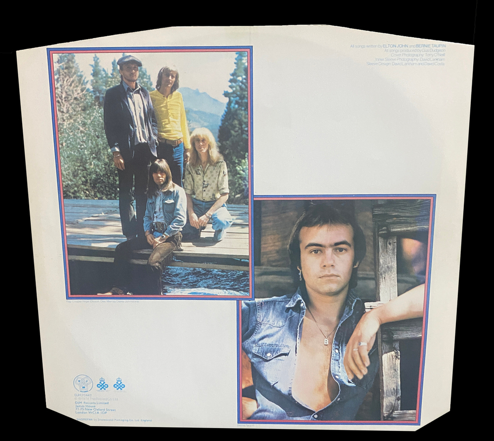Elton John / Greatest Hits (LP)