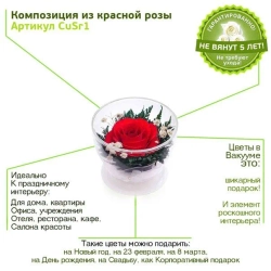 натуральные цветы в стекле, вакуум