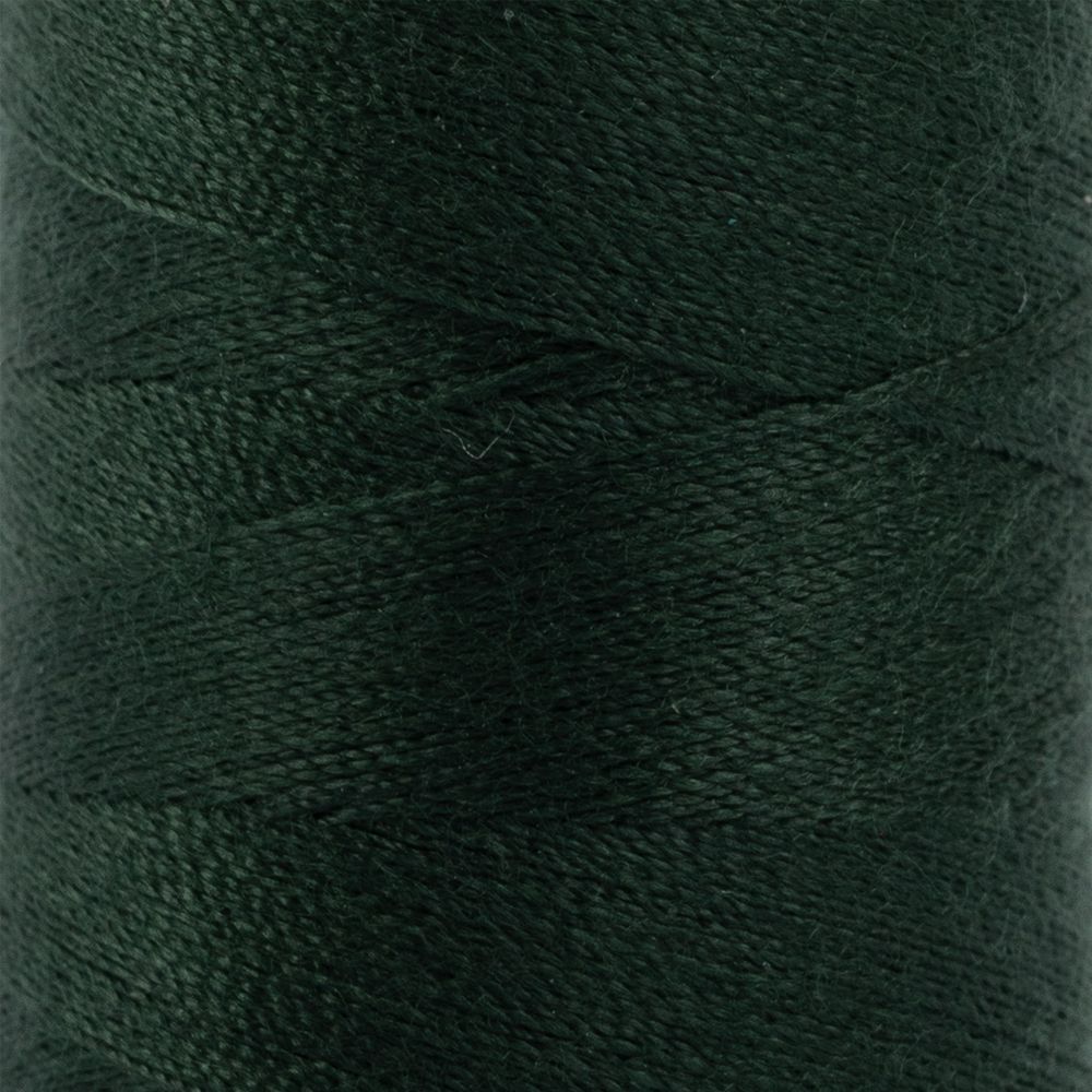 Нитки швейные бытовые Gamma 40/2, 365 м / 10 кат, 224 т.зеленый Нитки швейные бытовые Gamma 40/2, 365 м / 10 кат, 224 т.зеленый