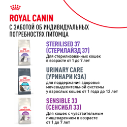 Royal Canin Fit 32 Корм сухой сбалансированный для взрослых умеренно активных кошек от 1 года - 4 кг