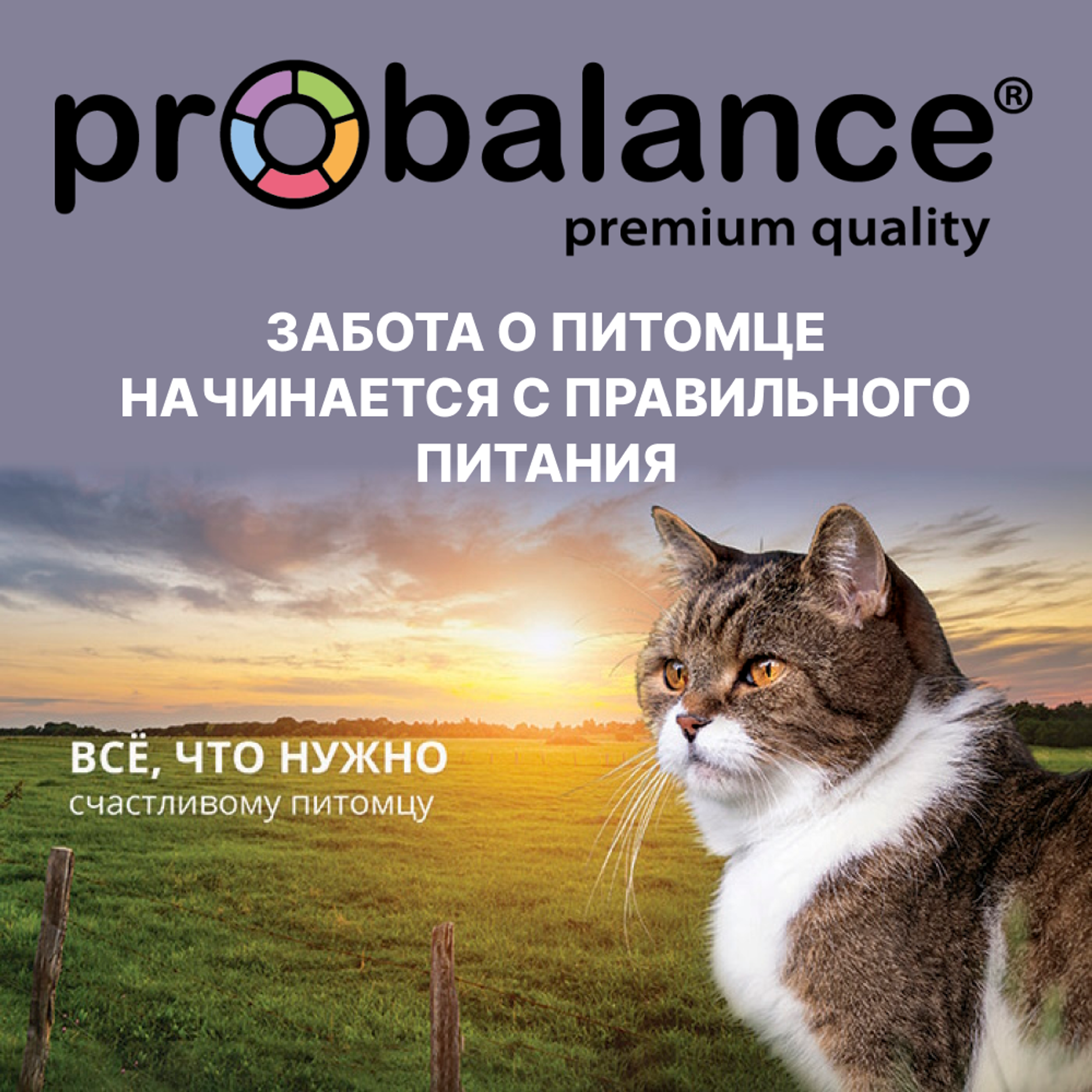 Корм Probalance для собак и кошек: состав, преимущества и как выбрать Корм Probalance для собак и кошек: состав, преимущества и как выбрать
