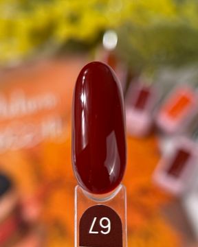 Gel lacquer Galaxy гель-лак 67, 9g