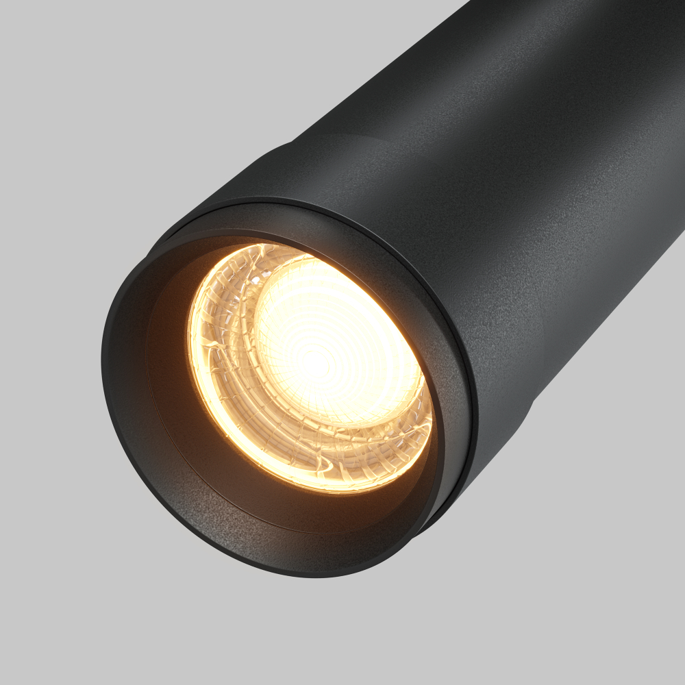 Потолочный светильник Technical C055CL-L12W2.7K-Z-B