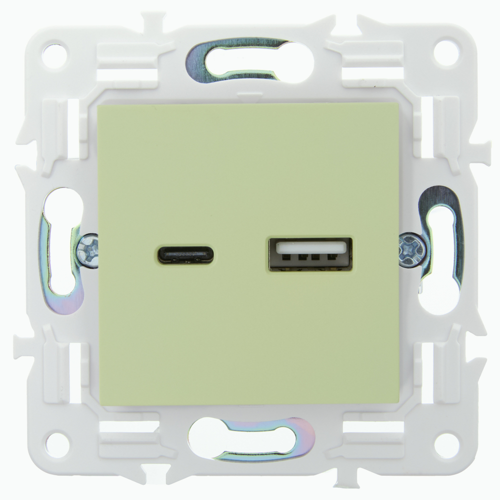 SKANDY Розетка USB A+C 18Вт SK-R13G мятный IEK