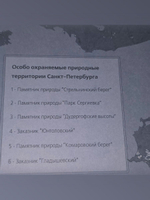 Заповедная природа Санкт-Петербурга