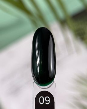 Gel lacquer Galaxy гель-лак 60, 9g