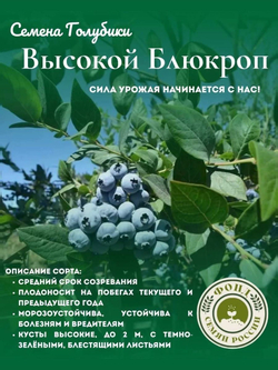 Голубика, Аврора, Семена Ягод, 0.01 гр.