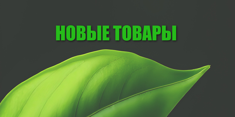 Новинки от GREENWORKS!