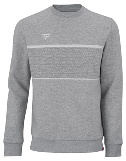 Мужская теннисная толстовка Tecnifibre Team Sweater - silver