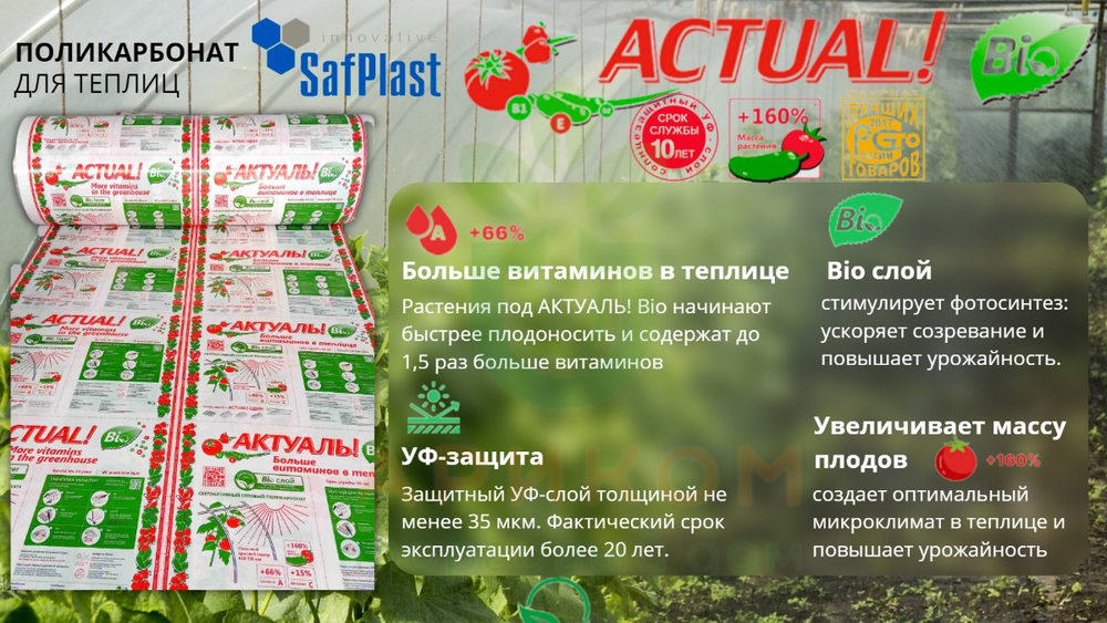 Поликарбонат Actual BIO (Казань) 6ММ 1,1 КГ/КВ.М.